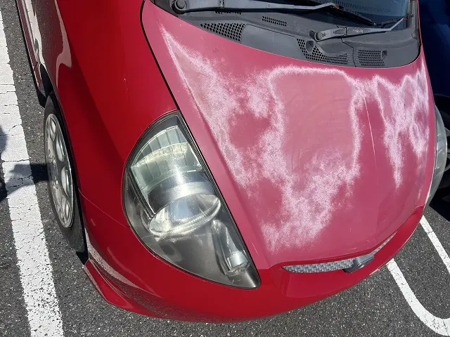 塗装面の色あせ剥げがひどい様子