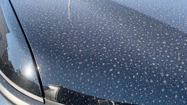 黄砂 対策 洗車 お手入れ