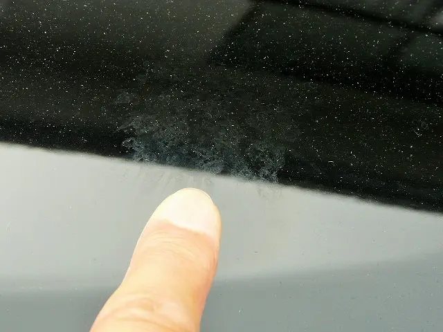 鳥のフンは塗装に浸食を始め白く変色している様子