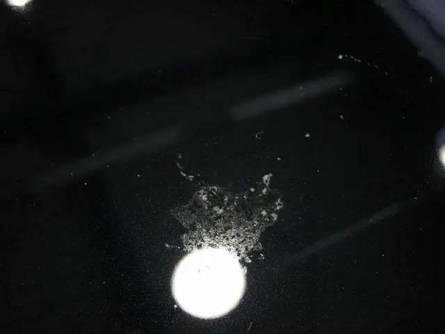 車についた鳥のフンは放置しクレーターとなり凹みが生じた様子