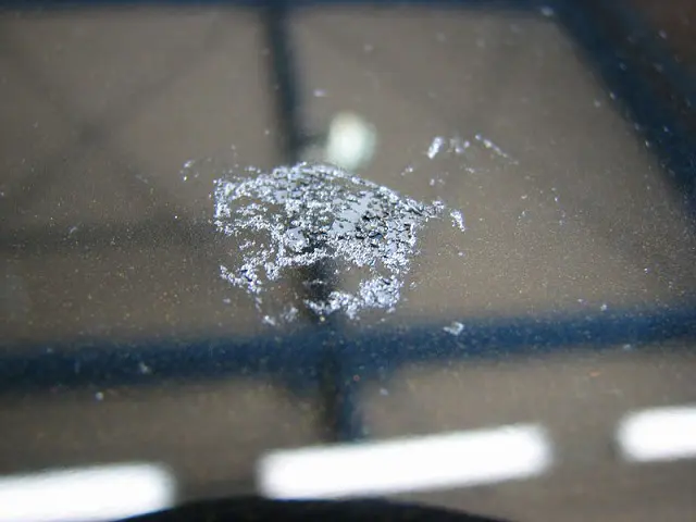 車についた鳥のフンは放置しクレーターがボディを腐食させ、塗装が剥がれて錆びた様子