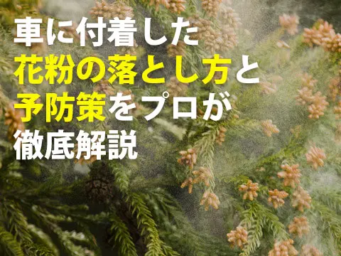 車に付着した花粉の落とし方と予防策をプロが徹底解説0