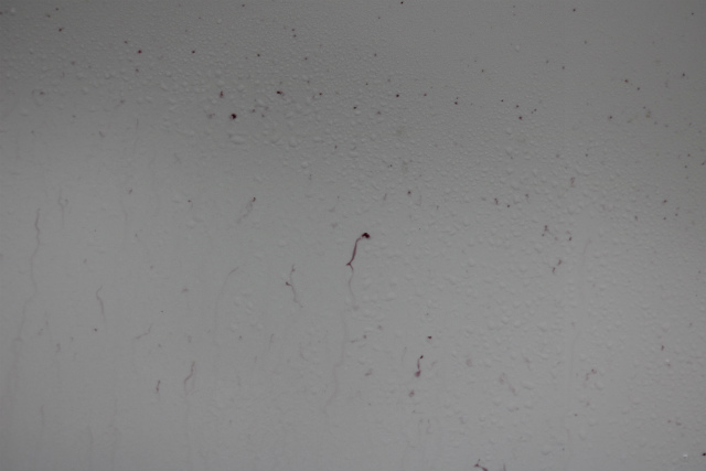 車に付着した鉄粉の様子