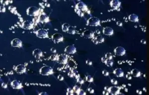 雨が降った後の水滴を弾いているボディ