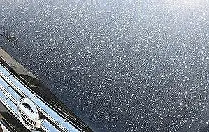 黄砂まみれのボンネットの状態