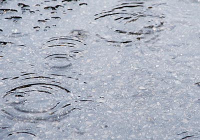 雨が降っている様子