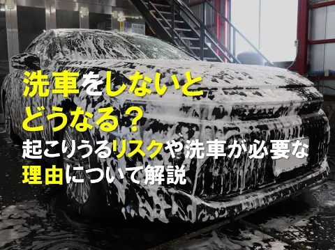 洗車をしないとどうなる？