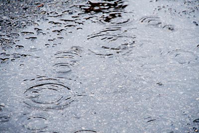 酸性雨から塗装を強力に保護