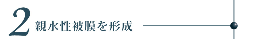 親水性被膜を形成