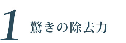 驚きの除去力